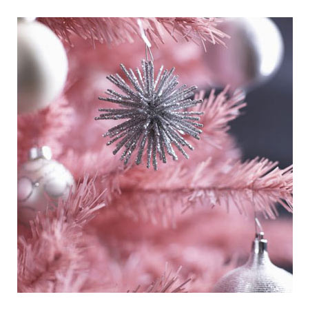 Your December Activity Guide! Your December Activity Guide!
