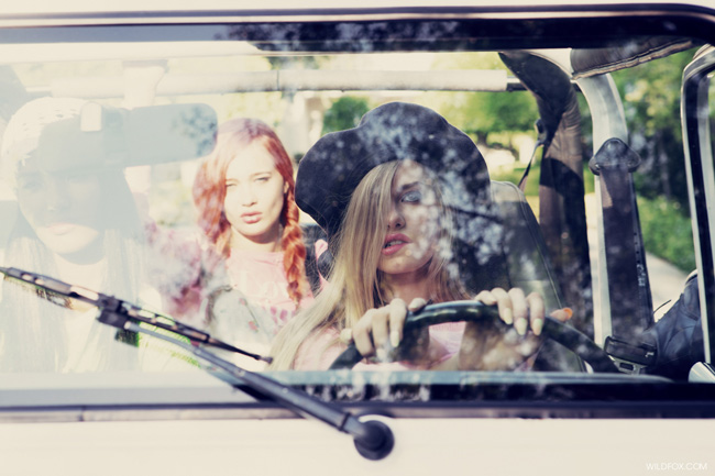 Wildfox's Clueless Lookbook Wildfox's Clueless Lookbook