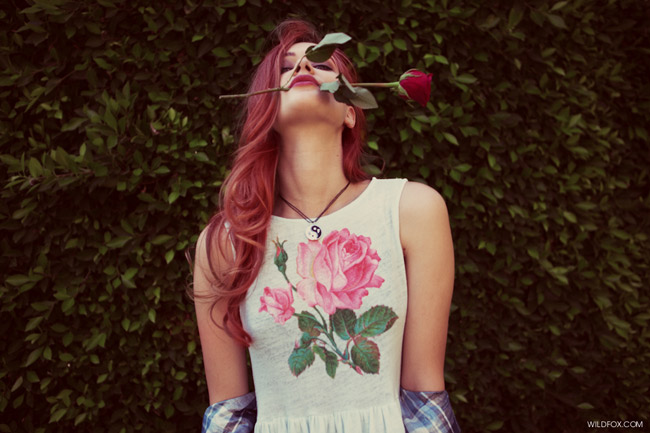Wildfox's Clueless Lookbook Wildfox's Clueless Lookbook