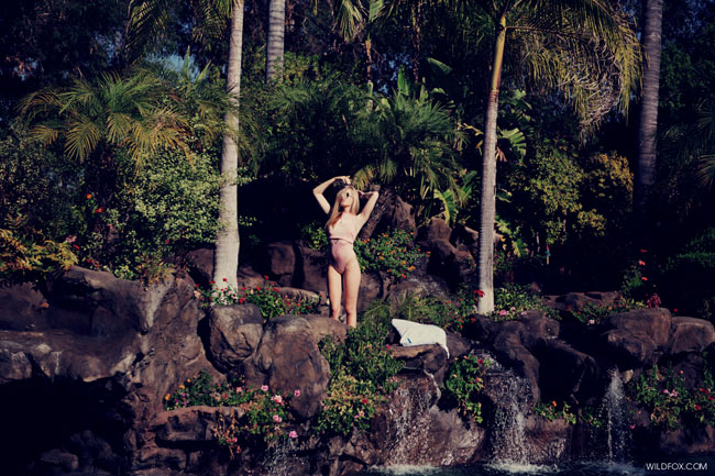 Wildfox's Clueless Lookbook Wildfox's Clueless Lookbook